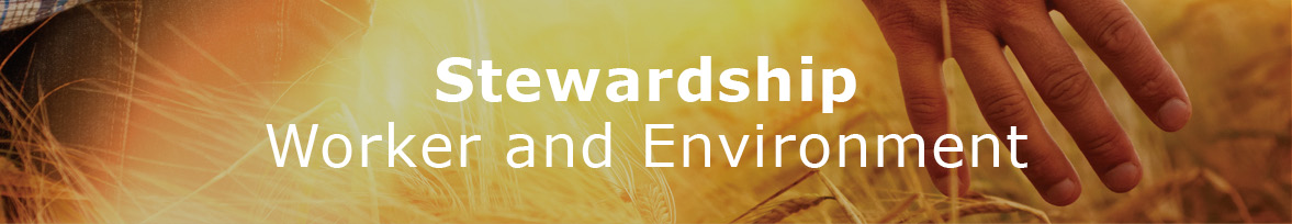 Stewardship Stewardship